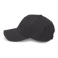 Northern Mocking Bird Dad hat