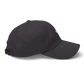 Northern Mocking Bird Dad hat