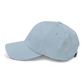 Northern Mocking Bird Dad hat