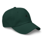 Northern Mocking Bird Dad hat